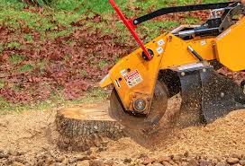 Best Tree Removal  in Pittsfield, IL